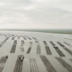 Foto de Mar Delta - Explotacions Marines Fangar en La Ràpita - Imagen 1