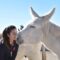Fundación Cavalli - Entrenador de caballos en Alhama de Murcia Fundación Cavalli - Entrenador de caballos en Alhama de Murcia