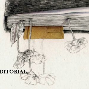 Foto de Nórdica Libros en Madrid - Imagen 1