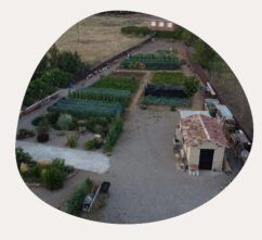 Raíces del Cerrato - Mercado mayorista de verduras en Baños de Cerrato Raíces del Cerrato - Mercado mayorista de verduras en Baños de Cerrato