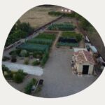 Raíces del Cerrato | Talleres y artesanía creativa. Huerta tradicional - Empresa de agricultura ecologica en Baños de Cerrato
