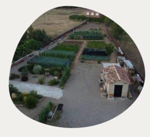 Raíces del Cerrato - Agricultura en Baños de Cerrato Raíces del Cerrato - Agricultura en Baños de Cerrato