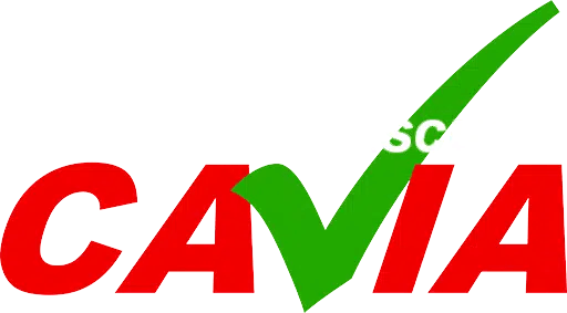 CAVIA | Autoescuela en Zaragoza