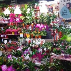 Foto de Floristeria Cari en L'Hospitalet de Llobregat - Imagen 1