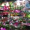 Floristeria Cari - Flores a domicilio en L'Hospitalet de Llobregat Floristeria Cari - Flores a domicilio en L'Hospitalet de Llobregat