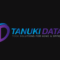 Tanuki Data S.L. - Ciberataque en Marbella Tanuki Data S.L. - Ciberataque en Marbella