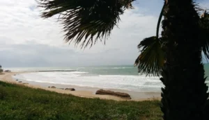 Lorraine - Diseñador web en Cádiz Lorraine - Diseñador web en Cádiz