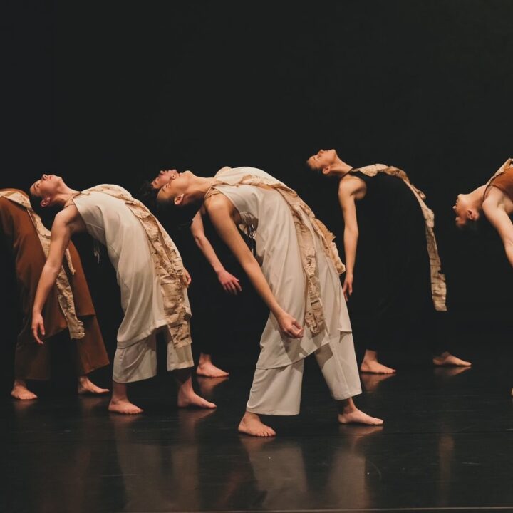 Foto de Institut de Dansa Educocreativa i Social en Xàtiva - Imagen 1