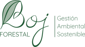 BOJ FORESTAL, S.L. - Abogado en Albacete-albacete BOJ FORESTAL, S.L. - Abogado en Albacete-albacete