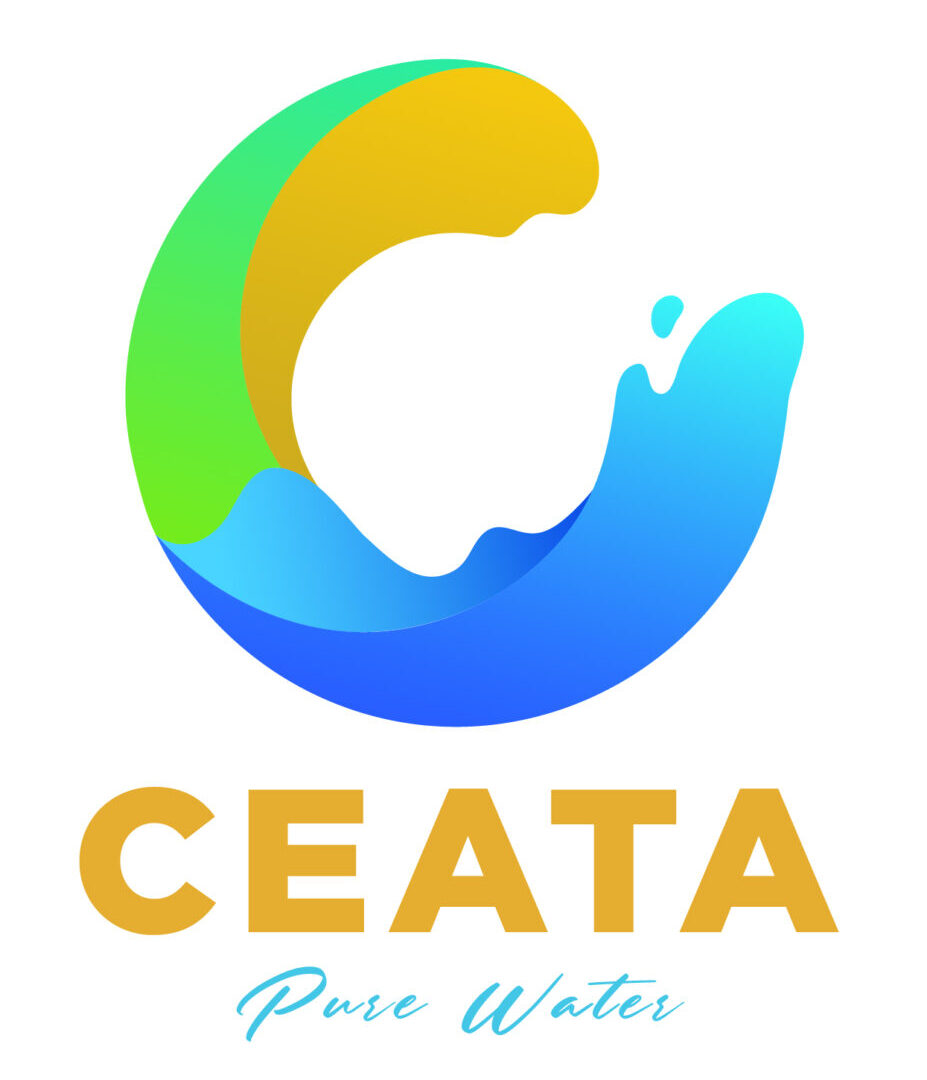 CEATA INGENIERIA