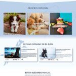 Aitana Multimedia SL - Imagen 3 - Negocio