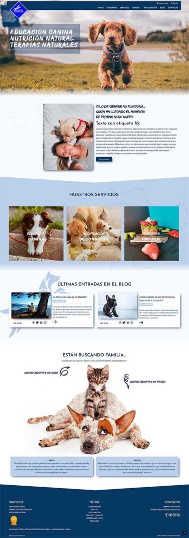 Aitana Multimedia SL - Imagen 3