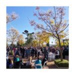 La Pérgola de Mirabueno - Imagen 2 - Organización de Eventos en Córdoba