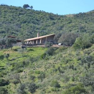Foto de Bar restaurante Huerta del Mayorazgo en Guillena - Imagen 3