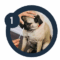 Miniatura 1