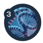 HISPALIS BIOLAB SLU (TUCENSOCANINO) - Imagen 3 - Farmacia en Sevilla