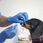 HISPALIS BIOLAB SLU (TUCENSOCANINO) - Imagen 4 - Farmacia en Sevilla