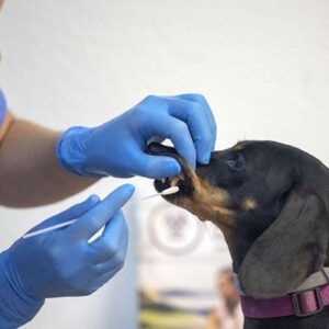 Foto de HISPALIS BIOLAB SLU (TUCENSOCANINO) en Sevilla - Imagen 5