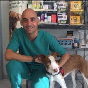 Foto de Clínica Veterinaria Valls en Logroño - Imagen 2