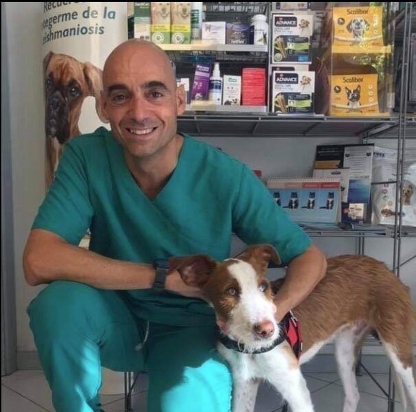 Clínica Veterinaria Valls - Imagen 1