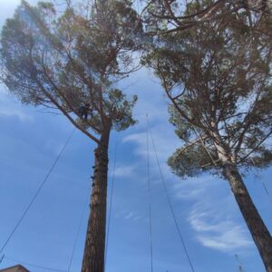 Foto de Pauchamama en Santa Eulàlia de Riuprimer - Imagen 4