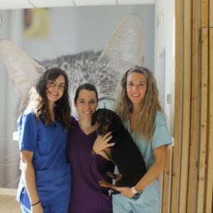 Foto de Clínica Veterinaria Valls en Logroño - Imagen 4