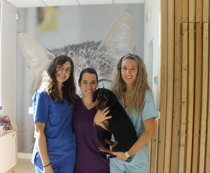 Clínica Veterinaria Valls - Imagen 3