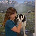 Clínica Veterinaria Sobrarbe - Imagen 1 - Tienda de productos para mascotas en Ainsa
