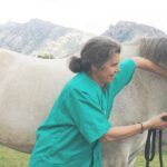 CENTRO VETERINARIO ANA MARTIN - Imagen 1 - Tienda de productos para mascotas en Quintana