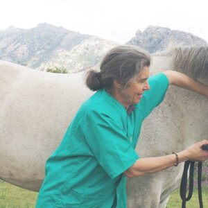 Foto de CENTRO VETERINARIO ANA MARTIN en Quintana de Toranzo - Imagen 2