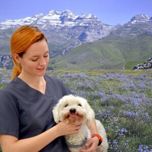 Foto de Clínica Veterinaria Sobrarbe en Aínsa - Imagen 4