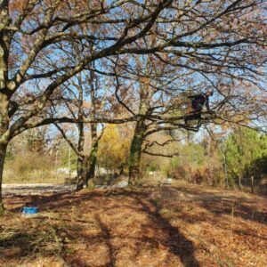 Foto de Pauchamama en Santa Eulàlia de Riuprimer - Imagen 2