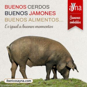 Foto de IBÉRICOS AYNA jamones y embutidos en Salamanca - Imagen 3