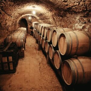 Foto de Bodega Remigio de Salas Jalón en Dueñas - Imagen 4