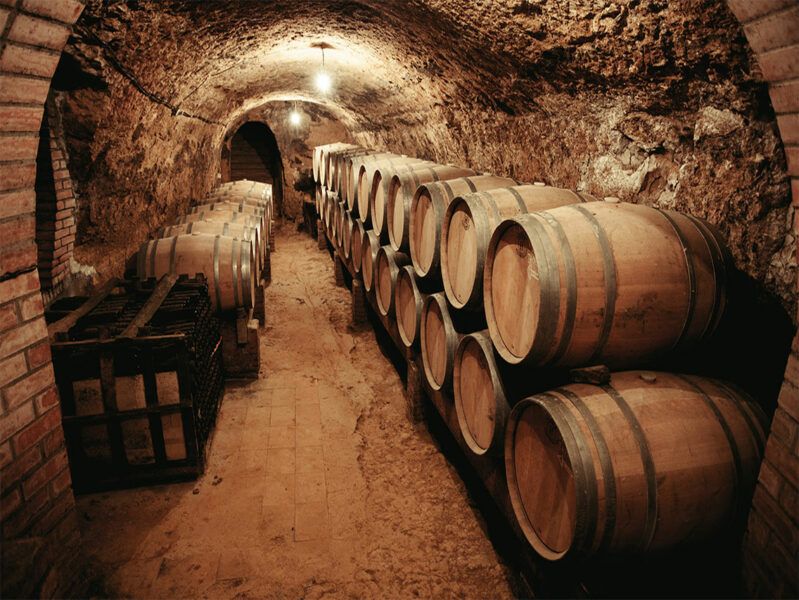 Bodega Remigio de Salas Jalón - Imagen 3