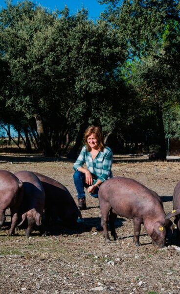 Embutidos Ibéricos de Vegaseca (Cuéllar) - Imagen 2