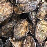 El Txoco de Luis Salinero - Imagen 4 - Gourmet en Marbella