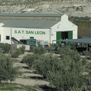 Foto de S.A.T. San León · Especialistas en Encurtidos en Benamaurel - Imagen 4