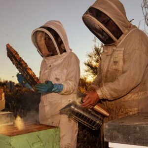 Foto de Miel La Cazurra en La Robla - Imagen 4