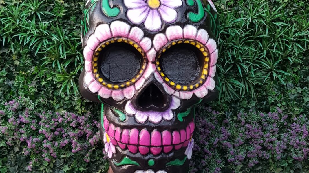 Punto Singular - Marketing Experiencial y eventos - Imagen 12