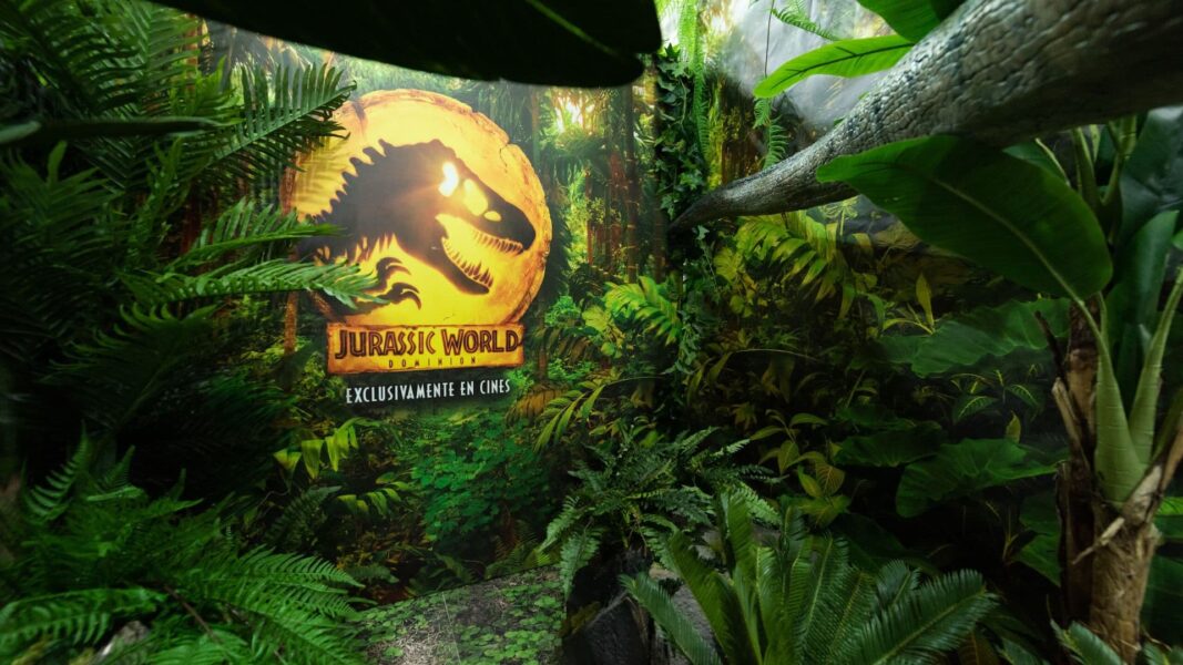 Punto Singular - Marketing Experiencial y eventos - Imagen 1